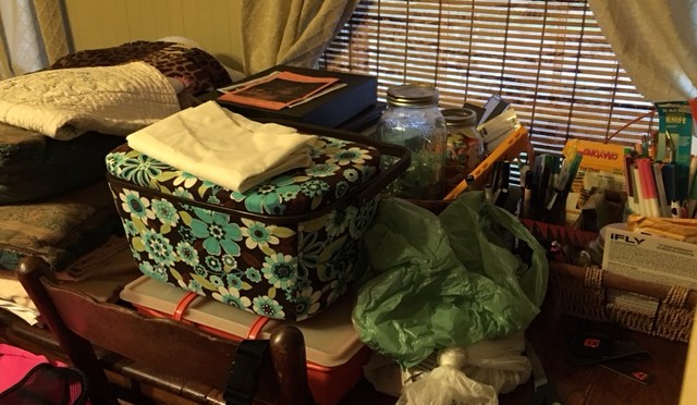 Just Call Me “Ms. Organization”!