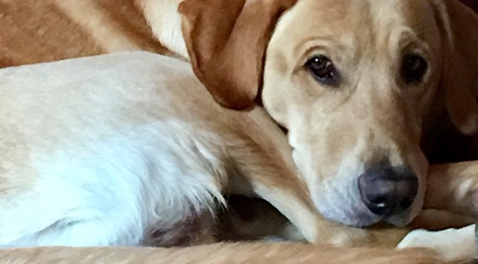 “Max” Recognized