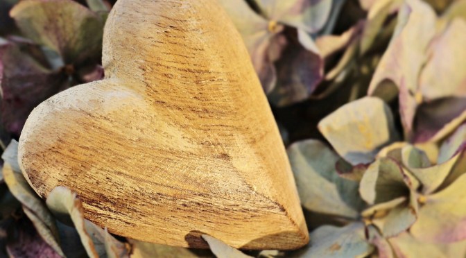 Puerto Rican Hurricane Maria Relief