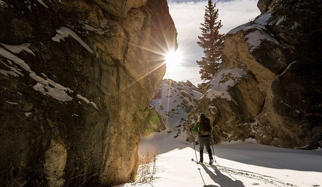 Birthday Wishes and Dreams