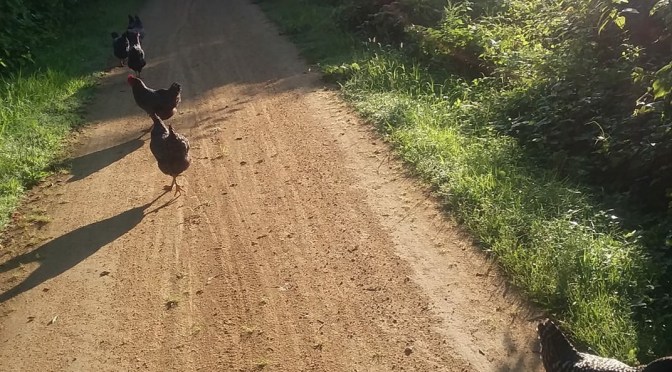 The Sounds of Silence ~~ by Michele Potter, #OMP Blogger