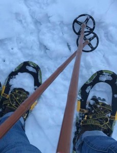 470440dd-b225-4365-a130-d7c8065f719c