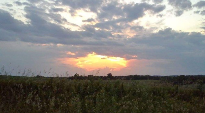 “Don’t Leave Me Here Like This” ~~ by Michele Potter